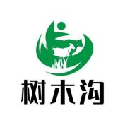 图片10.png